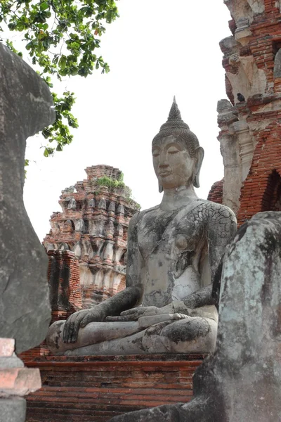 Wat Phra Mahathat en el parque histórico de Ayutthaya, Tailandia . —  Fotos de Stock