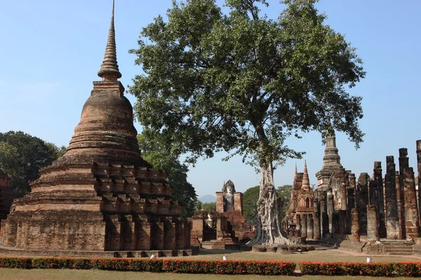 Sukhothai történeti Park Thaiföld — Stock Fotó