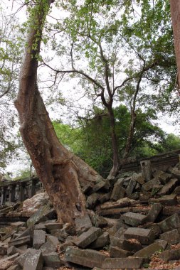 beng mealea Tapınağı, angkor, Kamboçya kalıntıları