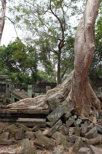 Ruins of Beng Mealea Temple, Angkor, Cambodia — Stock Photo, Image