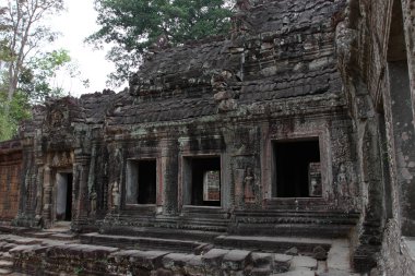 Preah Khan Tapınağı Angkor, Siem Reap, Kamboçya