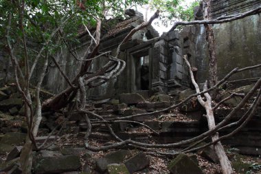 beng mealea Tapınağı, angkor, Kamboçya kalıntıları