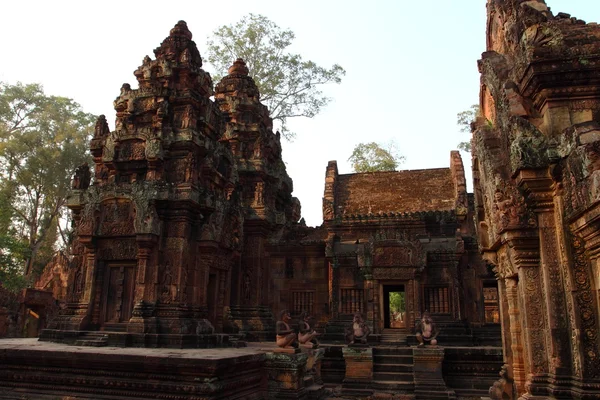 Detail wall decoration of Temple Banteay Srei in Angkor — Stock Photo, Image