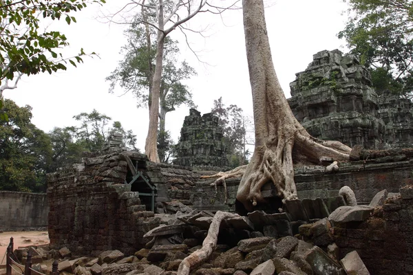 Templo Preah Khan em Angkor, Siem Reap, Camboja — Fotografia de Stock