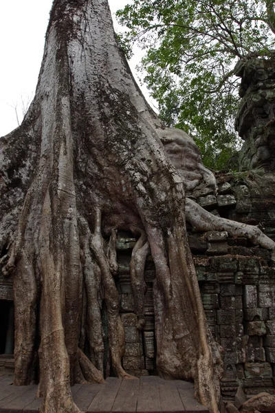 Preah Khan Temple in Angkor, Siem Reap, Cambodia — Stock Photo, Image