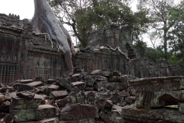 Preah Khan Tapınağı Angkor, Siem Reap, Kamboçya