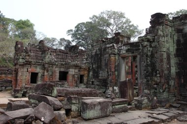 Preah Khan Tapınağı Angkor, Siem Reap, Kamboçya