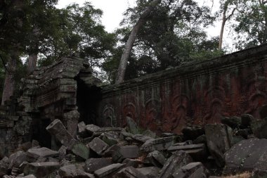 Ta Prohm Tapınağı Angkor, Siem Reap, Kamboçya