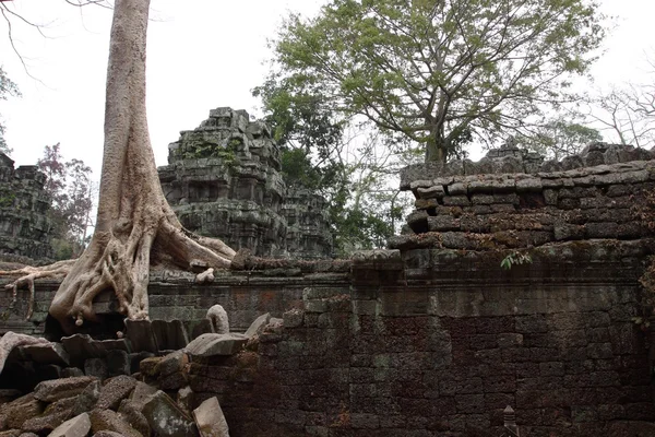 Templo Ta Prohm en Angkor, Siem Reap, Camboya —  Fotos de Stock
