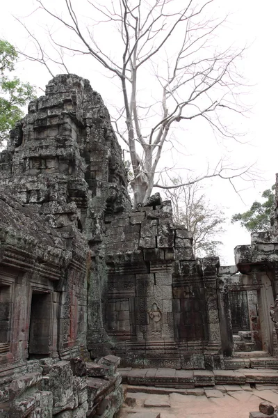 Banteay Kedi Temple in Angkor, Siem Reap, Cambodia — Stock Photo, Image