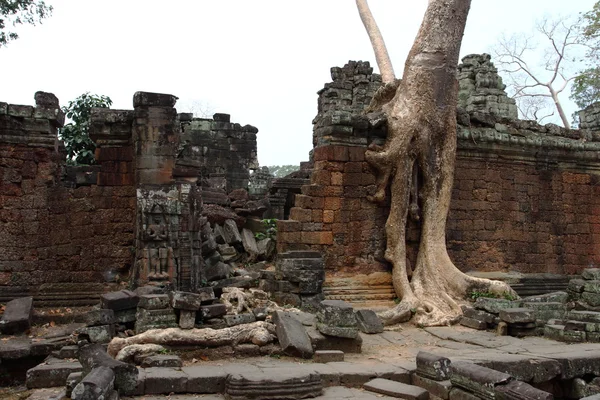 Preah Khan świątyni Angkor, Siem Reap, Kambodża — Zdjęcie stockowe