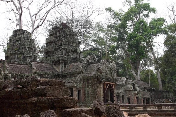 Ta Prohm Temple in Angkor, Siem Reap, Cambodia — Stock Photo, Image