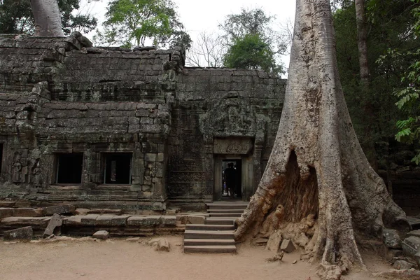 Ta Prohm Temple in Angkor, Siem Reap, Cambodia — Stock Photo, Image