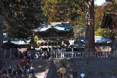 Toshogu tapınak Nikko Japonya'da