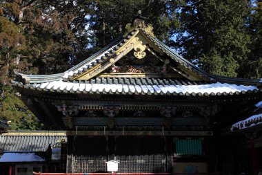 Toshogu tapınak Nikko Japonya'da