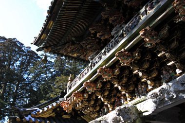 Toshogu tapınak Nikko Japonya'da