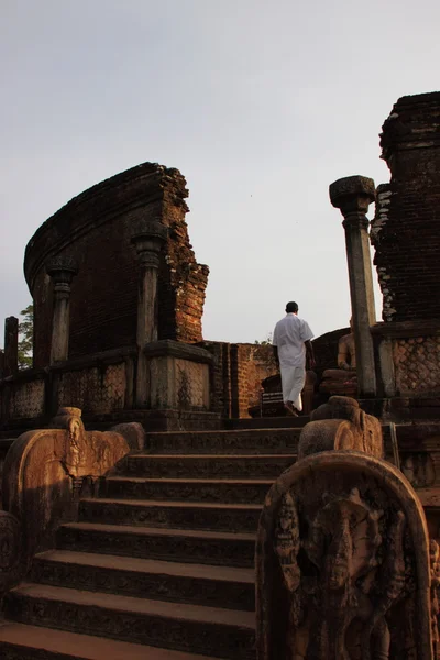 Статуя Будди в Polonnaruwa, Шрі-Ланка — стокове фото