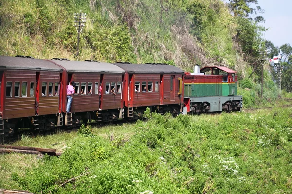 Tåg passerar Tea plantage kulle — Stockfoto