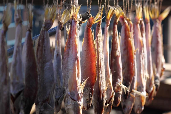 Pescado seco a la luz del sol —  Fotos de Stock