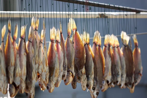 Dry fish in the sunlight