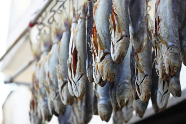 Pescado seco a la luz del sol —  Fotos de Stock