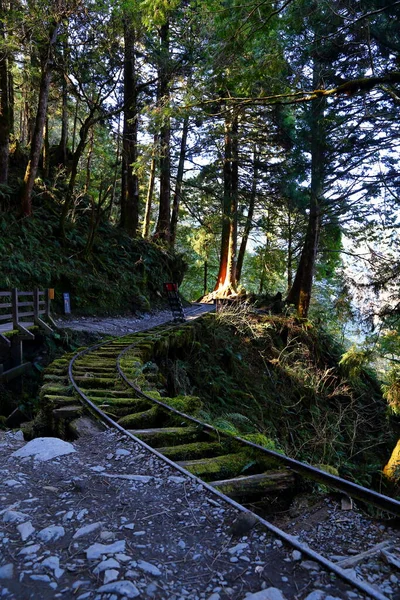 Caminhos Ferro Abandonados Jianqing Huaigu Trai Área Recreação Florestal Nacional — Fotografia de Stock