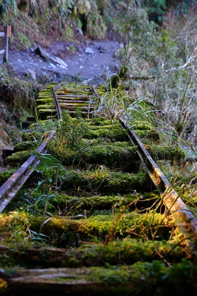 Caminhos Ferro Abandonados Jianqing Huaigu Trai Área Recreação Florestal Nacional — Fotografia de Stock