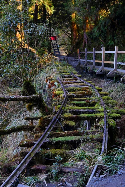 Caminhos Ferro Abandonados Jianqing Huaigu Trai Área Recreação Florestal Nacional — Fotografia de Stock