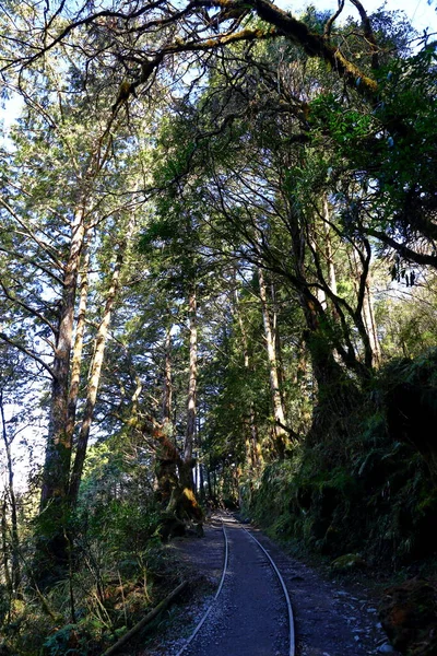 Jianqing Huaigu Trail Taipingshan National Forest Recreation Area Yilan Taiwan — Stockfoto