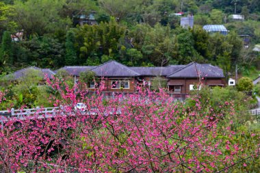 Jingtong Japon tarzı mimari, New Taipei City Tayvan 'da popüler bir yerdir.