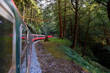 Alishan Ulusal Orman Dinlenme Alanında demiryolu üzerindeki orman treni, Alishan Kasabası, Chiayi, TAIWAN