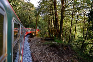 Alishan Ulusal Orman Dinlenme Alanında demiryolu üzerindeki orman treni, Alishan Kasabası, Chiayi, TAIWAN