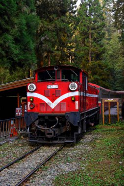 Alishan Ulusal Orman Dinlenme Alanında demiryolu üzerindeki orman treni, Alishan Kasabası, Chiayi, TAIWAN