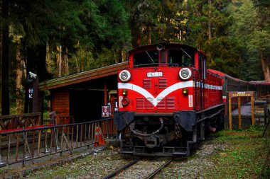 Alishan Ulusal Orman Dinlenme Alanında demiryolu üzerindeki orman treni, Alishan Kasabası, Chiayi, TAIWAN