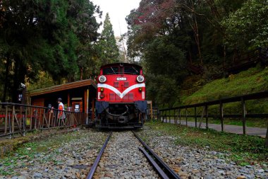 Alishan Ulusal Orman Dinlenme Alanında demiryolu üzerindeki orman treni, Alishan Kasabası, Chiayi, TAIWAN