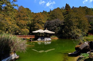 Jiemei (Kızkardeş) Gölleri, Alishan Ulusal Orman Dinlenme Bölgesi 'nde kız kardeşler göleti, Alishan Kasabası, Chiayi, TAIWAN