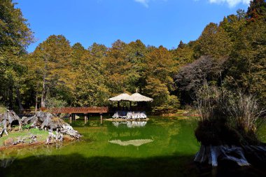 Jiemei (Kızkardeş) Gölleri, Alishan Ulusal Orman Dinlenme Bölgesi 'nde kız kardeşler göleti, Alishan Kasabası, Chiayi, TAIWAN