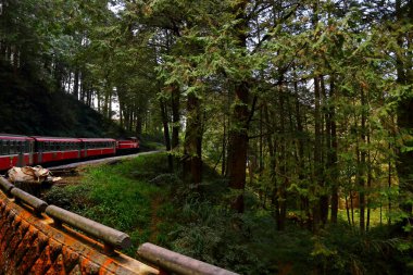 Alishan Ulusal Orman Dinlenme Alanında demiryolu üzerindeki orman treni, Alishan Kasabası, Chiayi, TAIWAN