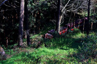 Alishan Ulusal Orman Dinlenme Alanında demiryolu üzerindeki orman treni, Alishan Kasabası, Chiayi, TAIWAN