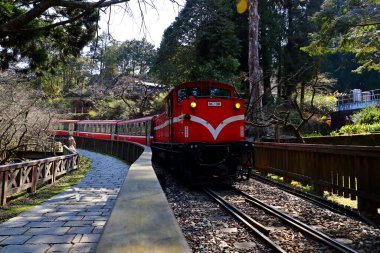 Alishan Ulusal Orman Dinlenme Alanında demiryolu üzerindeki orman treni, Alishan Kasabası, Chiayi, TAIWAN