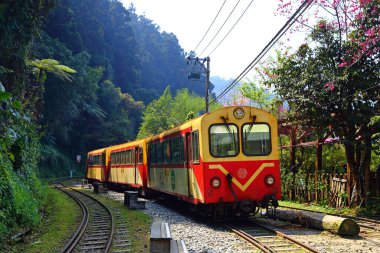 Alishan Ulusal Orman Dinlenme Alanında demiryolu üzerindeki orman treni, Alishan Kasabası, Chiayi, TAIWAN