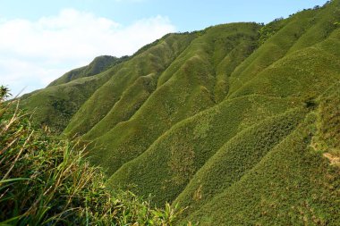 Ünlü Matcha (Yeşil Çay) Dağı, Shengmu Yürüyüş Patikası (Marian Hiking Patikası), Jiaoxi, Yilan, Tayvan