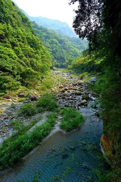 Shakadang Patikası Taroko Ulusal Parkı Ndaki Mermer Bir Uçurumun Duvarına — Stok fotoğraf