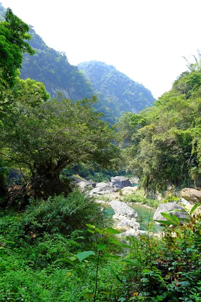 沙卡当小径 一条刻在台湾花莲塔鲁科国家公园大理石悬崖墙上的小径 — 图库照片