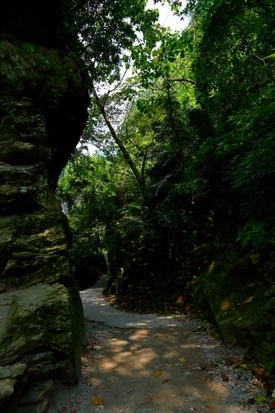沙卡当小径 一条刻在台湾花莲塔鲁科国家公园大理石悬崖墙上的小径 — 图库照片