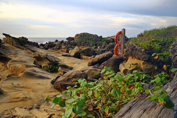 Xiaoyeliu Schilderachtige Gebied Gelegen Taitung Oost Taiwan Geologie Topografie Hier — Stockfoto