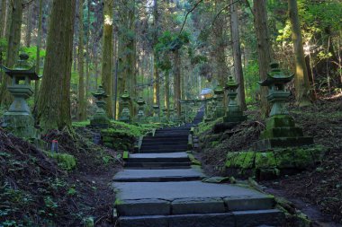 Kamishikimi Kumanoimasu Tapınağı, Aso Bölgesi, Kumamoto, Japonya 'da taş fener yolu olan bir Shinto tapınağı.