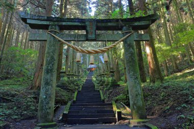 Kamishikimi Kumanoimasu Tapınağı, Aso Bölgesi, Kumamoto, Japonya 'da taş fener yolu olan bir Shinto tapınağı.