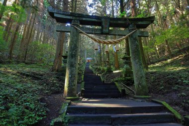 Kamishikimi Kumanoimasu Tapınağı, Aso Bölgesi, Kumamoto, Japonya 'da taş fener yolu olan bir Shinto tapınağı.