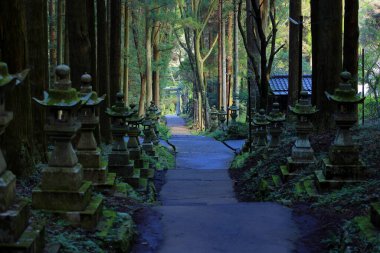 Kamishikimi Kumanoimasu Tapınağı, Aso Bölgesi, Kumamoto, Japonya 'da taş fener yolu olan bir Shinto tapınağı.